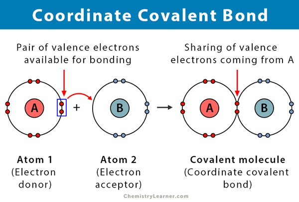  Chemical Bonding