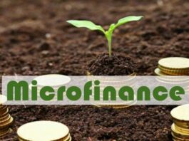 Microfinance Jobs Telegram Group Link Join List 2022