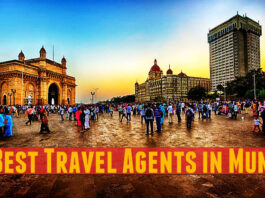 Mumbai Travel Agent WhatsApp Group Link Join List 2023