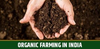 Organic Farming WhatsApp Group Link Join List 2024